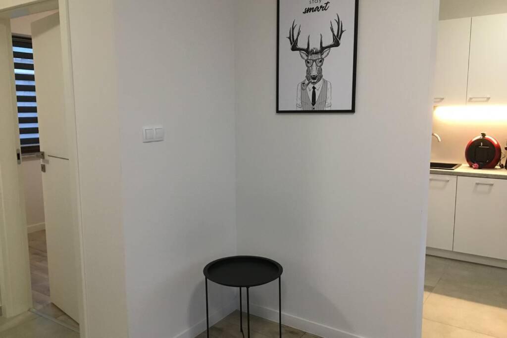 Apartament Fibra Americano Rybnik  Bagian luar foto